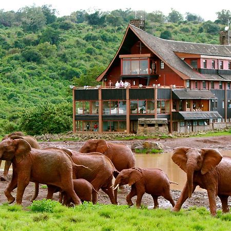 The Ark Lodge Nyeri Ngoại thất bức ảnh