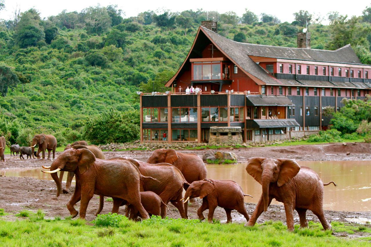 The Ark Lodge Nyeri Ngoại thất bức ảnh