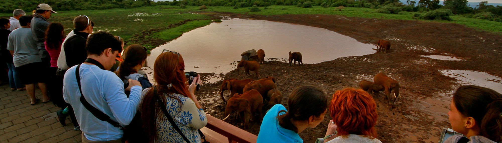 The Ark Lodge Nyeri Ngoại thất bức ảnh