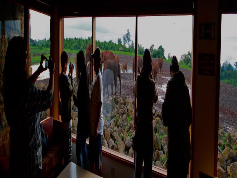 The Ark Lodge Nyeri Ngoại thất bức ảnh